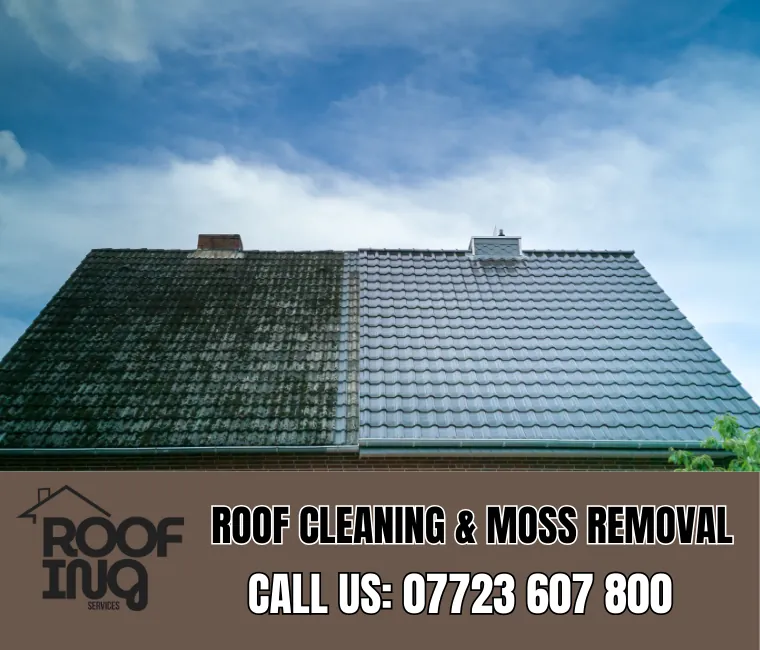 Roof cleaning and moss removal in Looe
